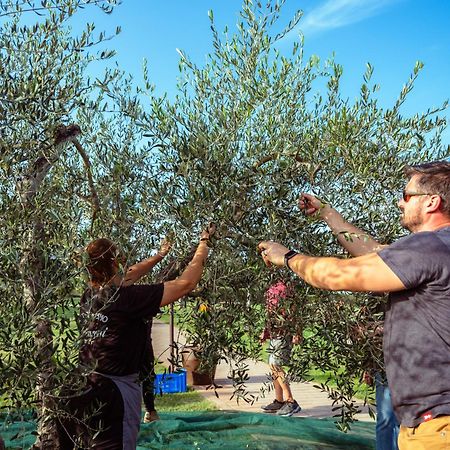 Agriturismo Biologico Diacceroni Villamagna  外观 照片