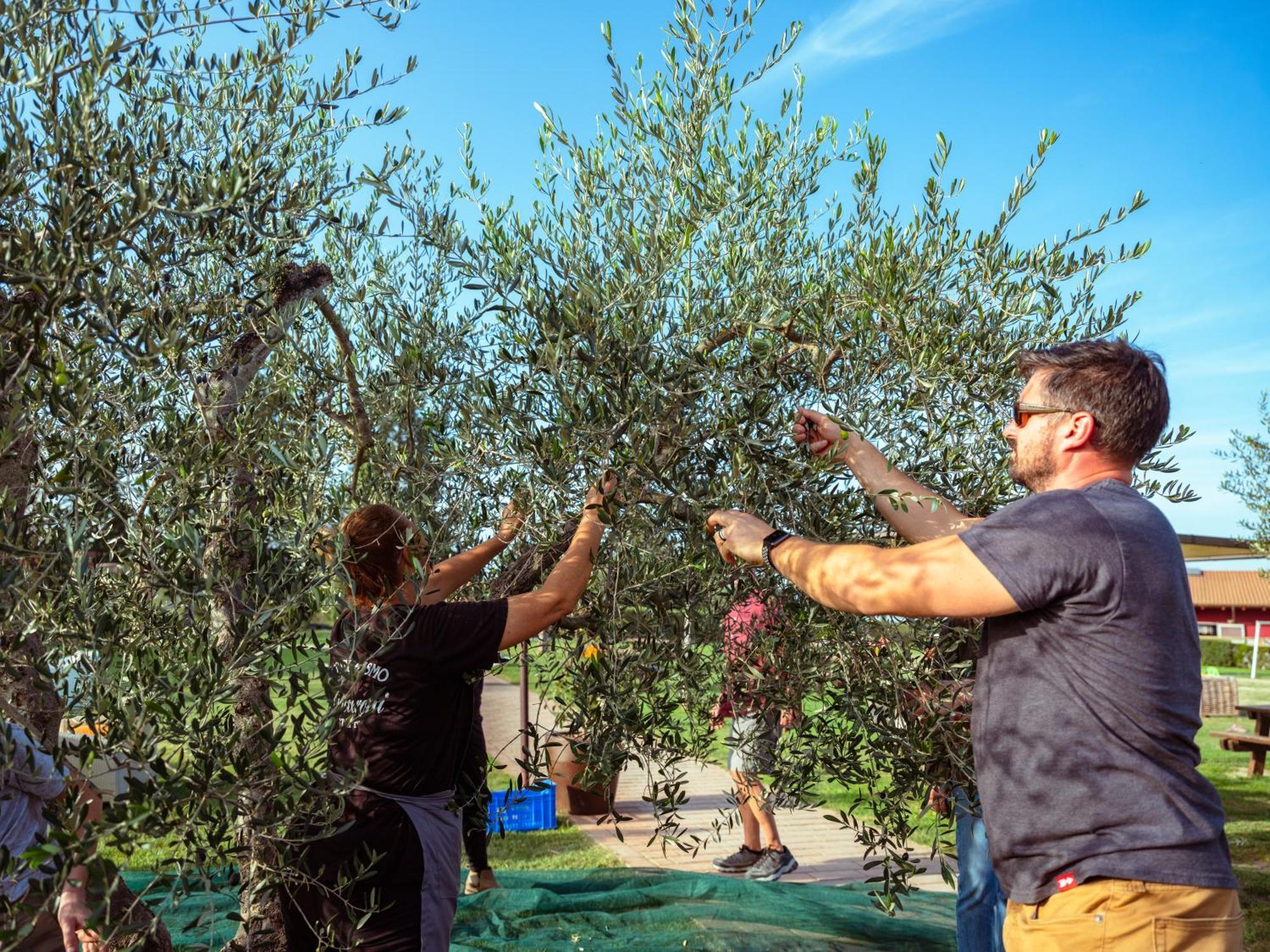 Agriturismo Biologico Diacceroni Villamagna  外观 照片