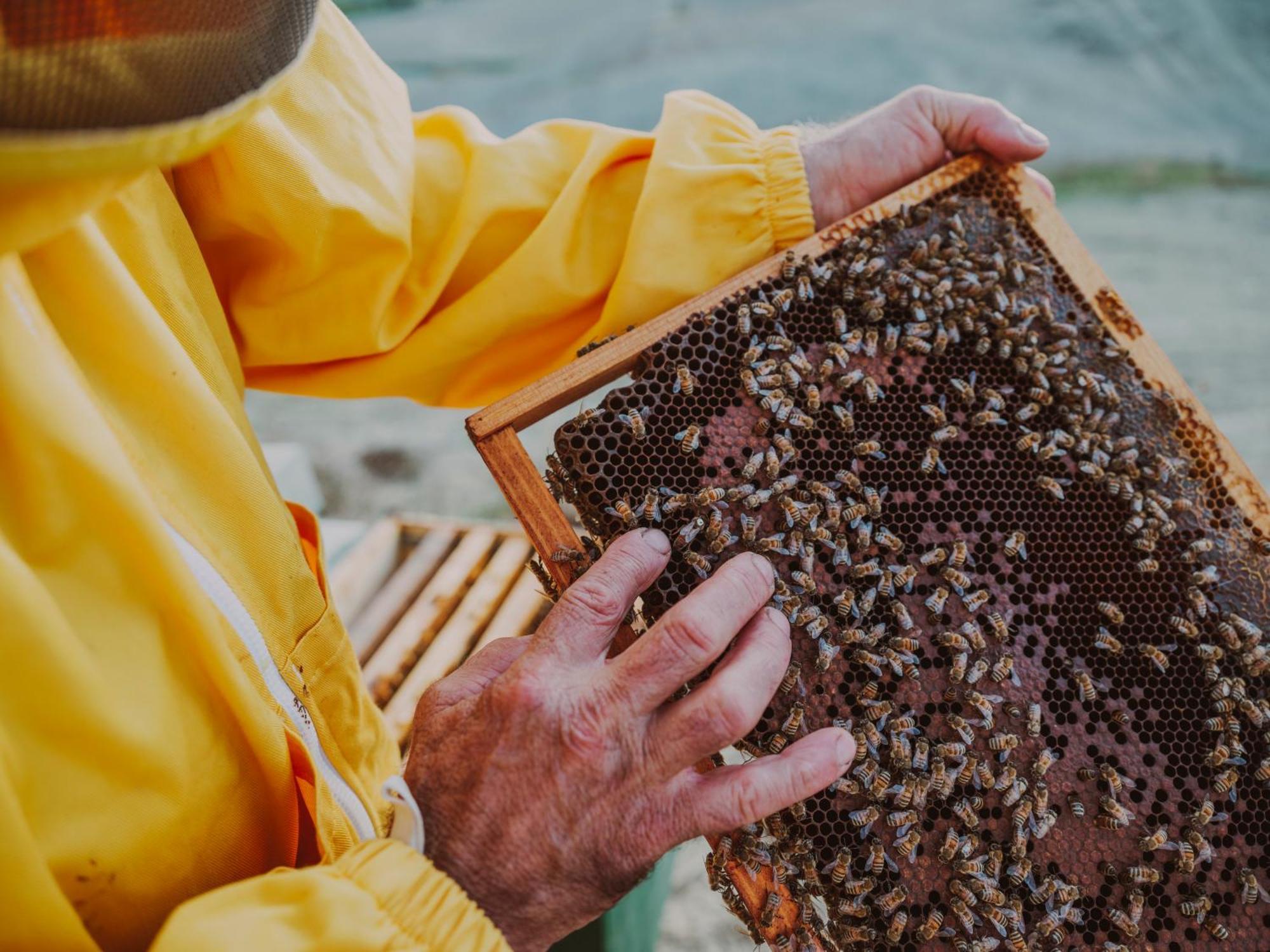 Agriturismo Biologico Diacceroni Villamagna  外观 照片