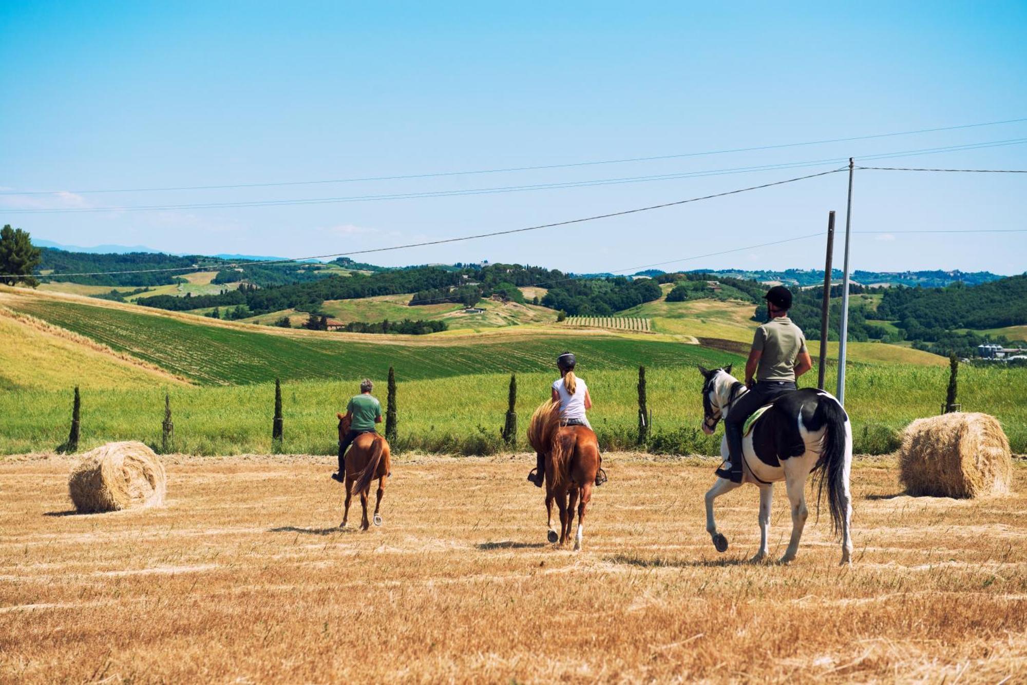 Agriturismo Biologico Diacceroni Villamagna  外观 照片