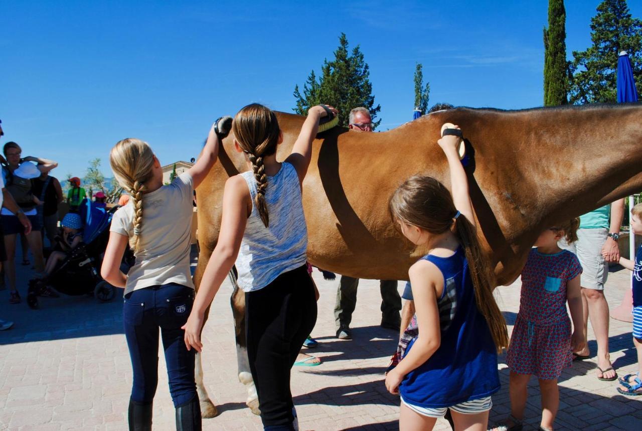 Agriturismo Biologico Diacceroni Villamagna  外观 照片